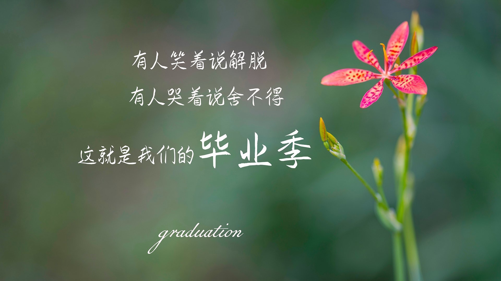 Chinese Taipei战术揭秘：从防守到反击的完美转化，chinese of taipei
